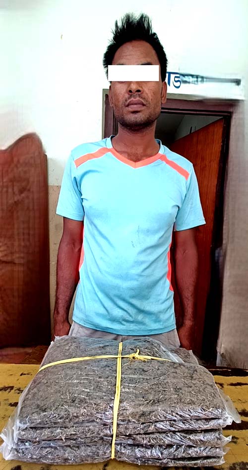 लागुऔषध गाजासहित एक पक्राउ